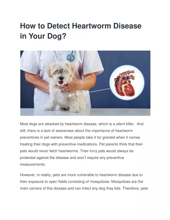how to detect heartworm disease in your dog