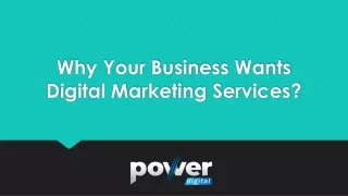 Why Your Business Wants Digital Marketing Services?