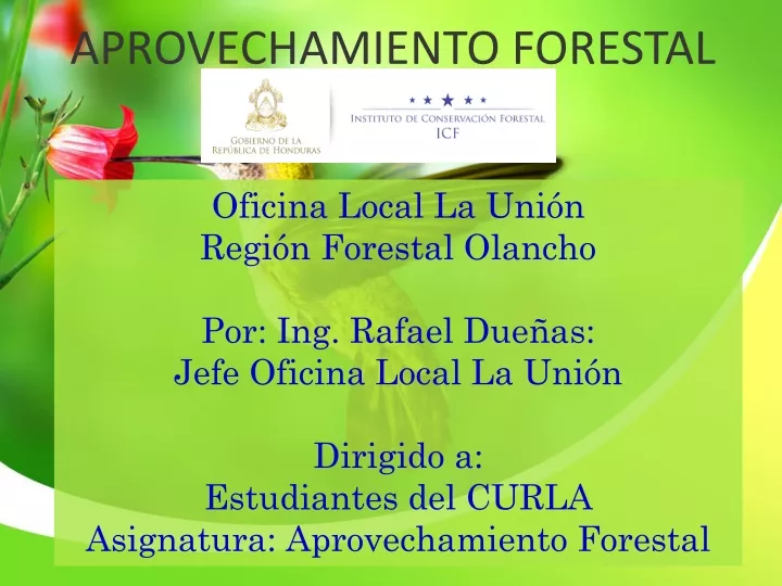 aprovechamiento forestal