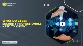 What Do Cyber Security Professionals Need To Know