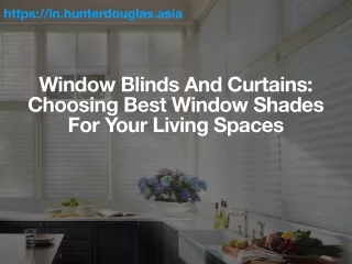 Window Roller Blinds: The ultimate mix of comfort and style for your windows