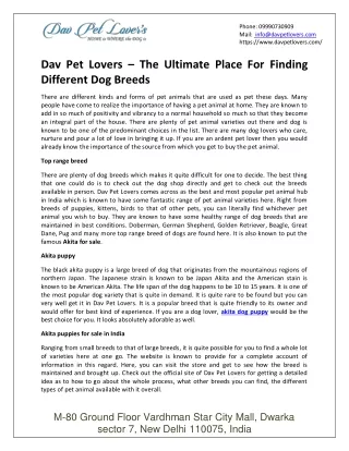 phone 09990730909 mail info@davpetlovers