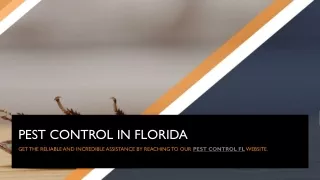 pest control in florida