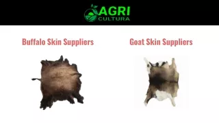 Buy Agro Food Suppliers Online | Agri Cultura Inc