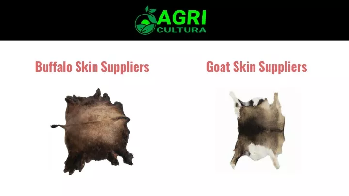 buffalo skin suppliers