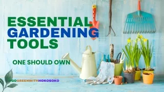 6 Essential gardening tools one should own
