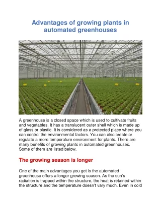 Advantages of growing plants in automated greenhouses
