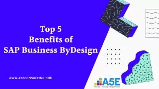 Top 5 Benefits of SAP Business ByDesign