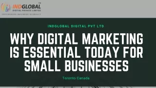 indglobal digital pvt ltd
