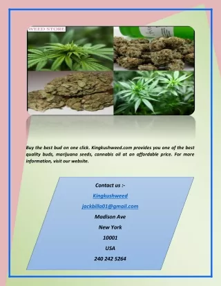 Bud for sale | Kingkushweed.com