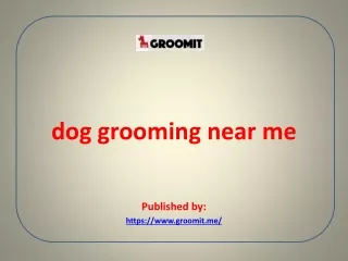 dog grooming near me