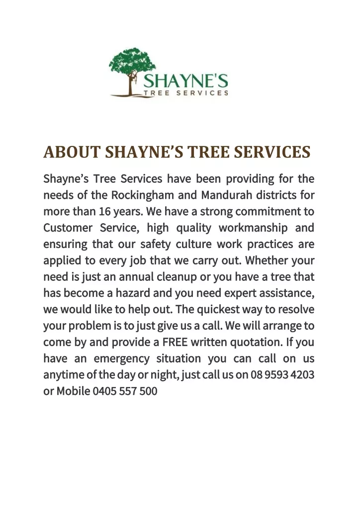 about shayne s tree services
