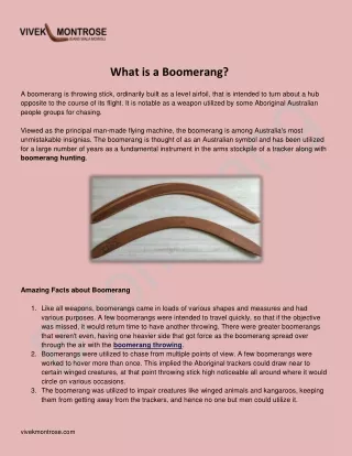 What is a Boomerang?