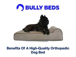 Benefits Of A High-Quality Orthopedic Dog Bed