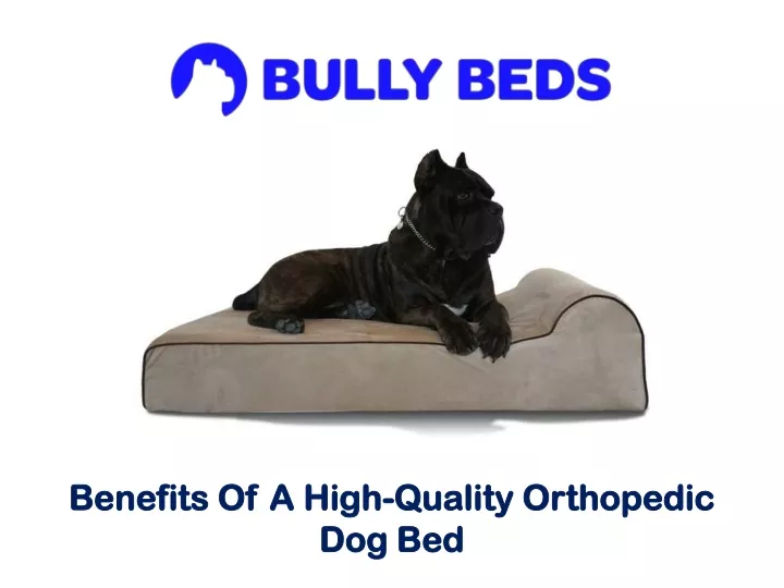 benefits of a high quality orthopedic dog bed