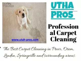 The Best Carpet Cleaning in Provo, Orem, Lindon, Springville
