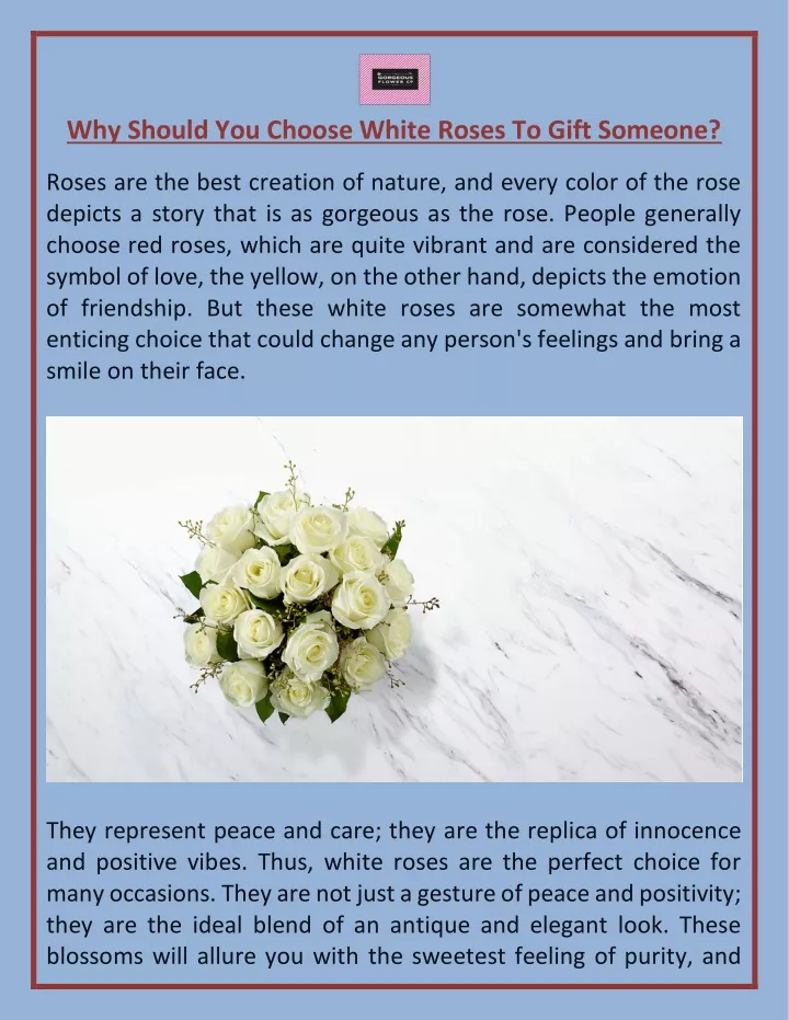 why should you choose white roses to gift someone