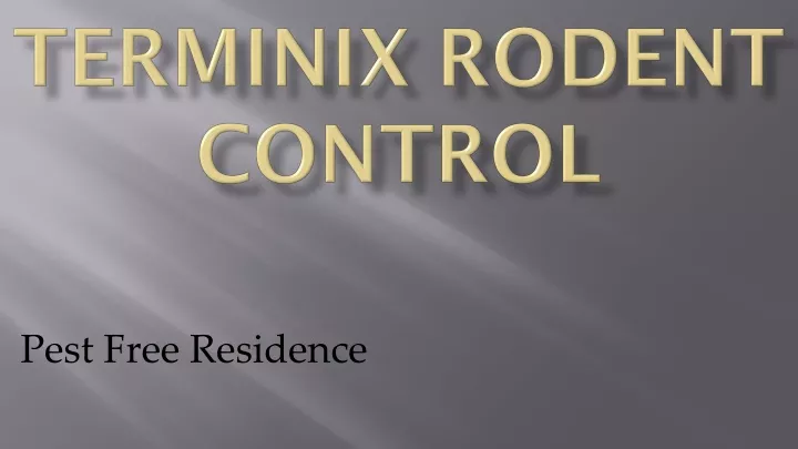 terminix rodent control