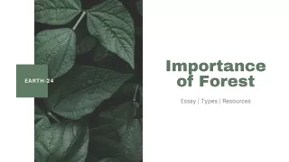 Importance of Forest | Essay | Types | Resources | Earth-24
