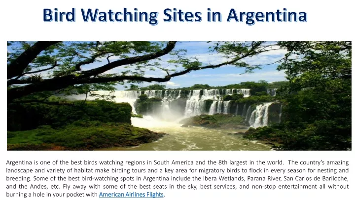 bird watching sites in argentina
