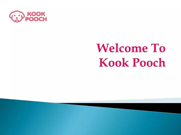 welcome to kook pooch