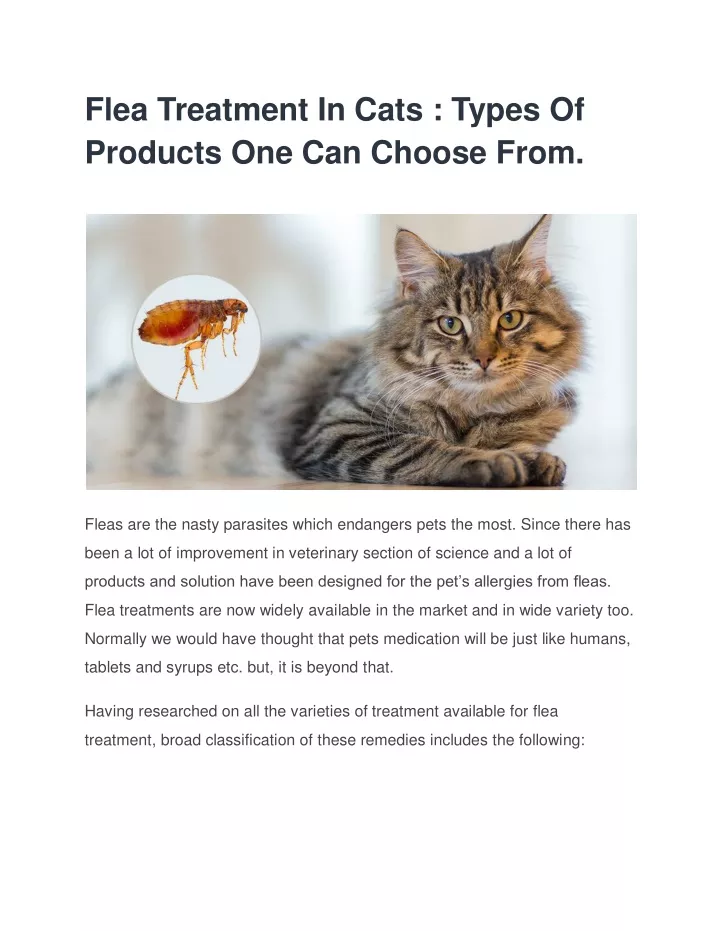 flea treatment in cats types of products