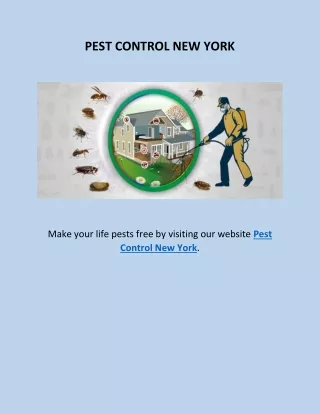 pest control new york
