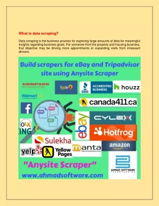 Build scrapers for eBay and Tripadvisor site using Anysite Scraper