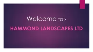 welcome to