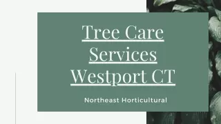 Tree Care Services Westport CT- Northeast Horticultural