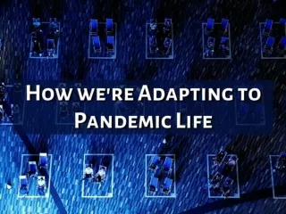 How we're adapting to pandemic life