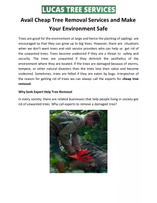 Avail Cheap Tree Removal Services and Make  Your Environment Safe