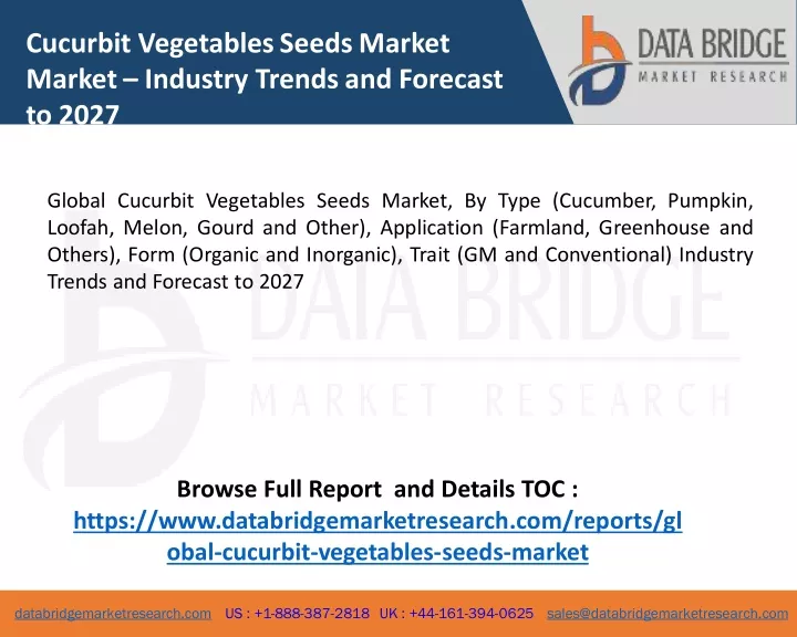 cucurbit vegetables seeds market market industry