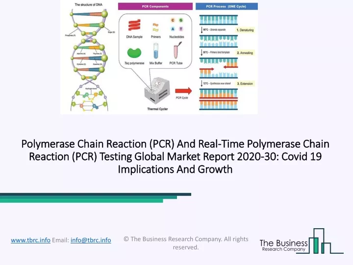 polymerase chain reaction pcr and real time
