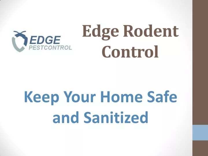 edge rodent control
