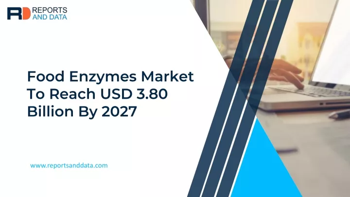 food enzymes market to reach usd 3 80 billion