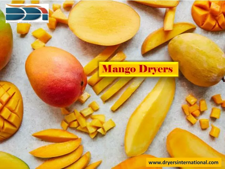 mango dryers