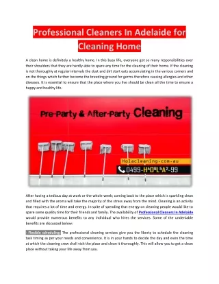 Professional Cleaners In Adelaide for Cleaning Home