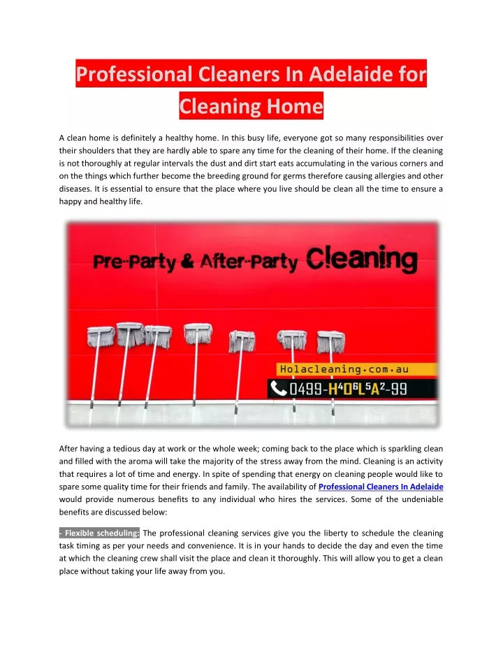 professional cleaners in adelaide for cleaning