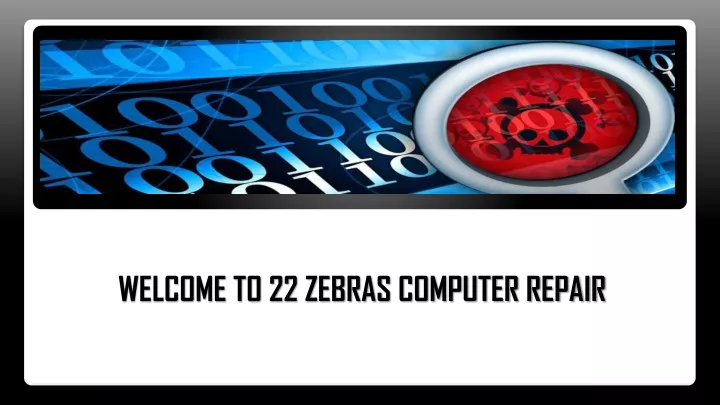 welcome to 22 zebras computer repair