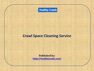 Crawl Space Cleaning Service