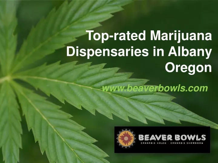top rated marijuana dispensaries in albany oregon