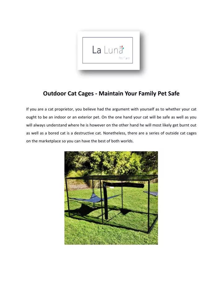 outdoor cat cages maintain your family pet safe