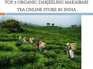 Top 3 Organic Darjeeling Makaibari Tea Online Store in India