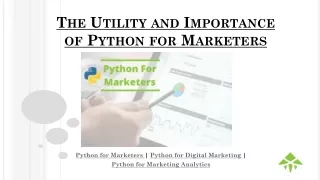 The Utility and Importance of Python for Marketers