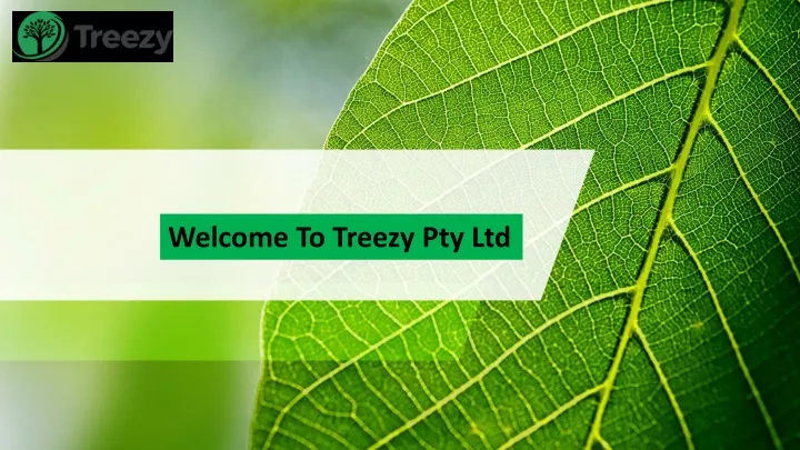 welcome to treezy pty ltd