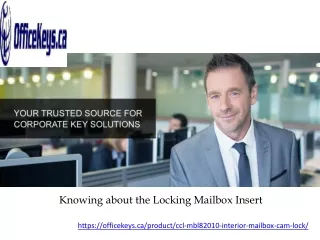 knowing about the locking mailbox insert