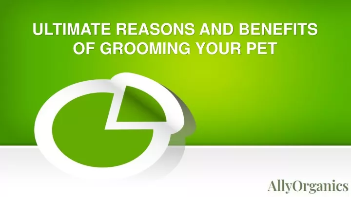 ultimate reasons and benefits of grooming your pet