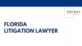 Florida Litigation Lawyer - IMUDIA LAW