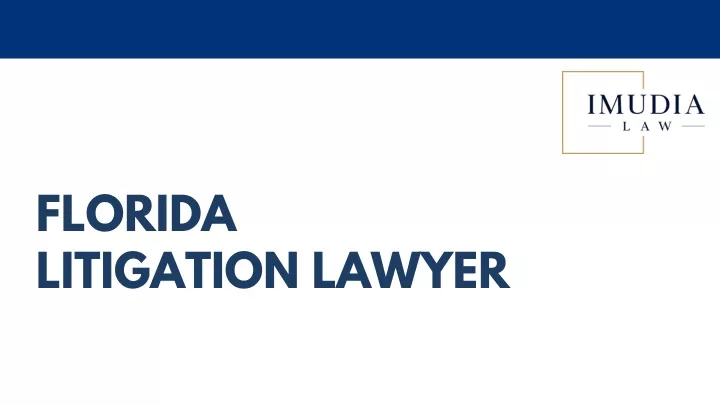 florida litigation lawyer
